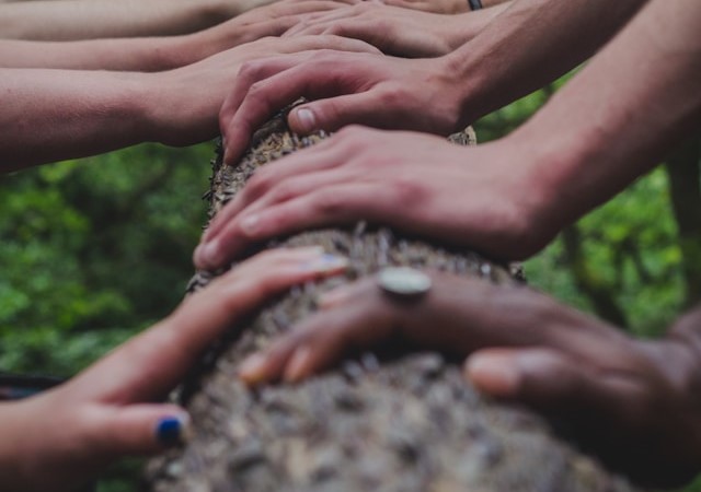 Hands are lined up along a tree trunk.